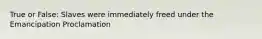 True or False: Slaves were immediately freed under the Emancipation Proclamation