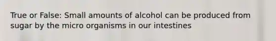 True or False: Small amounts of alcohol can be produced from sugar by the micro organisms in our intestines