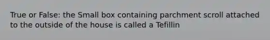 True or False: the Small box containing parchment scroll attached to the outside of the house is called a Tefillin