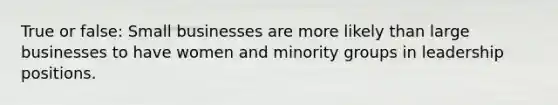 True or false: Small businesses are more likely than large businesses to have women and minority groups in leadership positions.