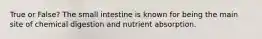 True or False? The small intestine is known for being the main site of chemical digestion and nutrient absorption.