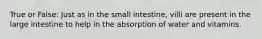 True or False: Just as in the small intestine, villi are present in the large intestine to help in the absorption of water and vitamins.
