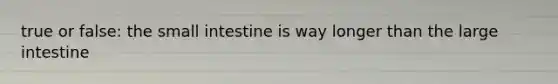 true or false: the small intestine is way longer than the large intestine