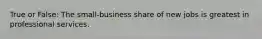 True or False: The small-business share of new jobs is greatest in professional services.