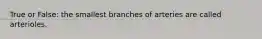 True or False: the smallest branches of arteries are called arterioles.