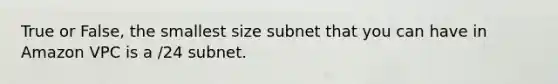 True or False, the smallest size subnet that you can have in Amazon VPC is a /24 subnet.