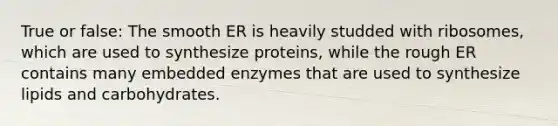 True or false: The smooth ER is heavily studded with ribosomes, which are used to synthesize proteins, while the rough ER contains many embedded enzymes that are used to synthesize lipids and carbohydrates.