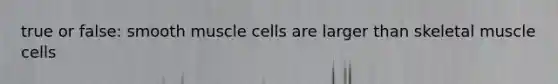 true or false: smooth muscle cells are larger than skeletal muscle cells