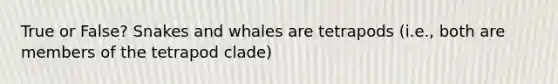 True or False? Snakes and whales are tetrapods (i.e., both are members of the tetrapod clade)