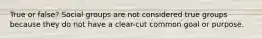 True or false? Social groups are not considered true groups because they do not have a clear-cut common goal or purpose.