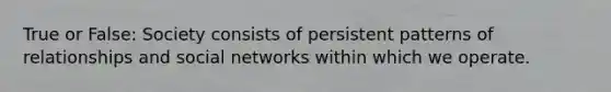 True or False: Society consists of persistent patterns of relationships and social networks within which we operate.