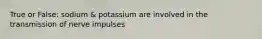 True or False: sodium & potassium are involved in the transmission of nerve impulses