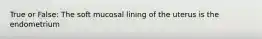 True or False: The soft mucosal lining of the uterus is the endometrium