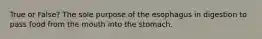 True or False? The sole purpose of the esophagus in digestion to pass food from the mouth into the stomach.