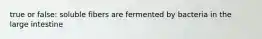 true or false: soluble fibers are fermented by bacteria in the large intestine