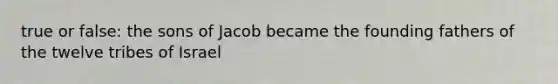 true or false: the sons of Jacob became the founding fathers of the twelve tribes of Israel