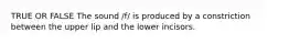 TRUE OR FALSE The sound /f/ is produced by a constriction between the upper lip and the lower incisors.