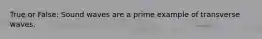 True or False: Sound waves are a prime example of transverse waves.