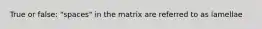 True or false: "spaces" in the matrix are referred to as lamellae