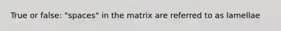 True or false: "spaces" in the matrix are referred to as lamellae