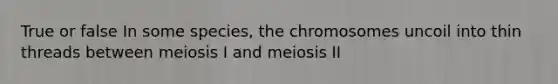 True or false In some species, the chromosomes uncoil into thin threads between meiosis I and meiosis II