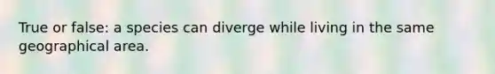 True or false: a species can diverge while living in the same geographical area.
