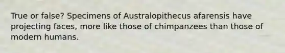 True or false? Specimens of Australopithecus afarensis have projecting faces, more like those of chimpanzees than those of modern humans.