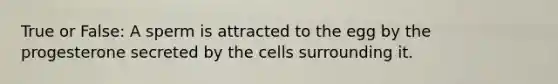 True or False: A sperm is attracted to the egg by the progesterone secreted by the cells surrounding it.