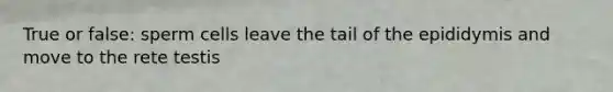 True or false: sperm cells leave the tail of the epididymis and move to the rete testis