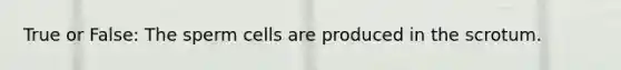 True or False: The sperm cells are produced in the scrotum.