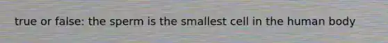 true or false: the sperm is the smallest cell in the human body