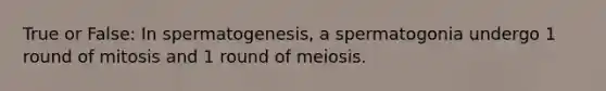 True or False: In spermatogenesis, a spermatogonia undergo 1 round of mitosis and 1 round of meiosis.