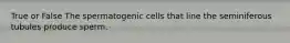 True or False The spermatogenic cells that line the seminiferous tubules produce sperm.