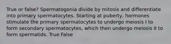 True or false? Spermatogonia divide by mitosis and differentiate into primary spermatocytes. Starting at puberty, hormones stimulate the primary spermatocytes to undergo meiosis I to form secondary spermatocytes, which then undergo meiosis II to form spermatids. True False