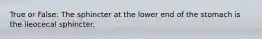 True or False: The sphincter at the lower end of the stomach is the ileocecal sphincter.