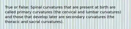 True or False: Spinal curvatures that are present at birth are called primary curvatures (the cervical and lumbar curvatures) and those that develop later are secondary curvatures (the thoracic and sacral curvatures).