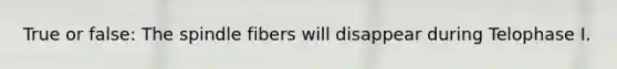 True or false: The spindle fibers will disappear during Telophase I.