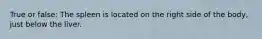 True or false: The spleen is located on the right side of the body, just below the liver.
