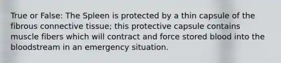 True or False: The Spleen is protected by a thin capsule of the fibrous connective tissue; this protective capsule contains muscle fibers which will contract and force stored blood into the bloodstream in an emergency situation.