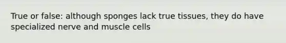 True or false: although sponges lack true tissues, they do have specialized nerve and muscle cells