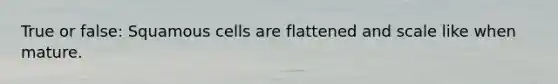 True or false: Squamous cells are flattened and scale like when mature.