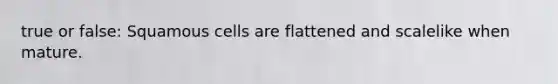 true or false: Squamous cells are flattened and scalelike when mature.