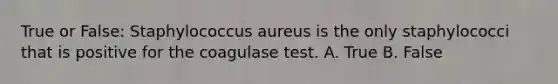 True or False: Staphylococcus aureus is the only staphylococci that is positive for the coagulase test. A. True B. False