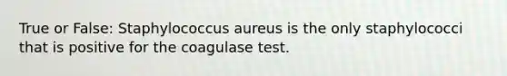 True or False: Staphylococcus aureus is the only staphylococci that is positive for the coagulase test.