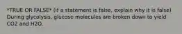 *TRUE OR FALSE* (if a statement is false, explain why it is false) During glycolysis, glucose molecules are broken down to yield CO2 and H2O.