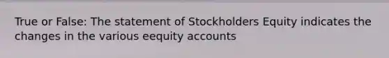 True or False: The statement of Stockholders Equity indicates the changes in the various eequity accounts