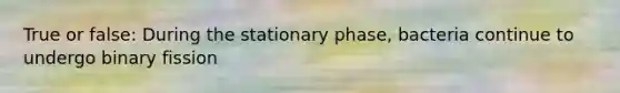 True or false: During the stationary phase, bacteria continue to undergo binary fission