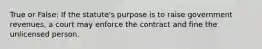 True or False: If the statute's purpose is to raise government revenues, a court may enforce the contract and fine the unlicensed person.