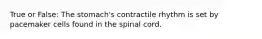 True or False: The stomach's contractile rhythm is set by pacemaker cells found in the spinal cord.