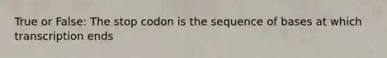 True or False: The stop codon is the sequence of bases at which transcription ends